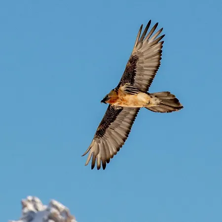 Goliath Apartament Leukerbad