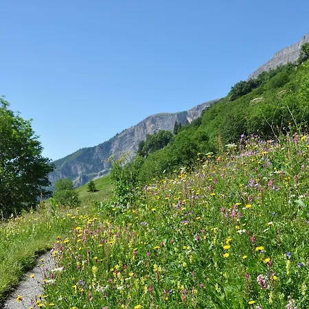 Apartament Goliath Leukerbad