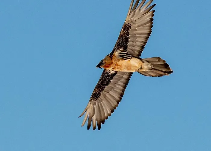 Goliath Appartement Loèche-les-Bains