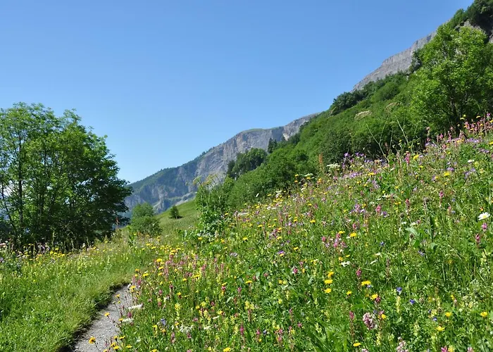 아파트 Goliath 로이커바드